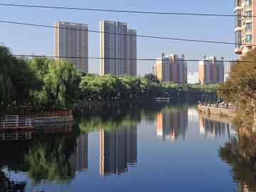 台风“鲸鱼”来袭，taifeng.com究竟能花落谁家？